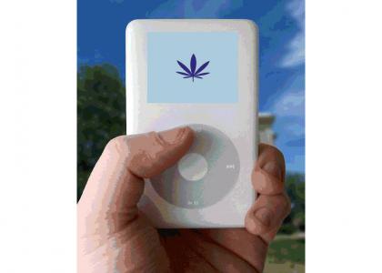 The new iPod