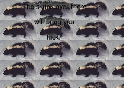 Lucky Skunk