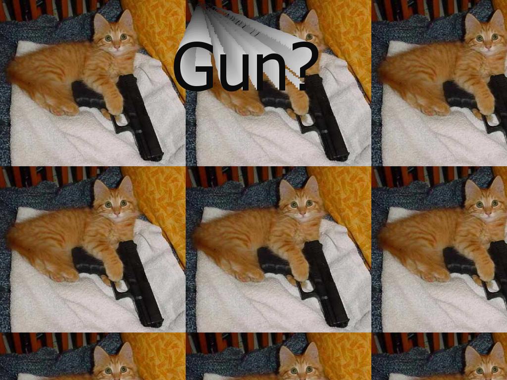 gun12