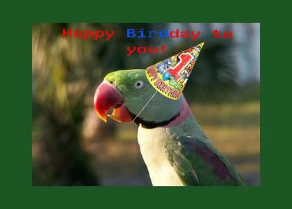 This parrot has a special message for you