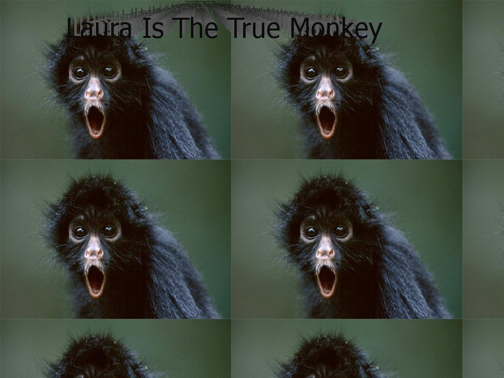 lauraisamonkey