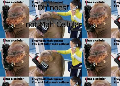 Don't take that walrus's Cellular