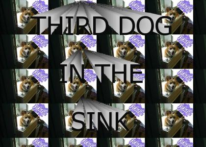 PTKFGS: THIRD DOG IN THE SINK