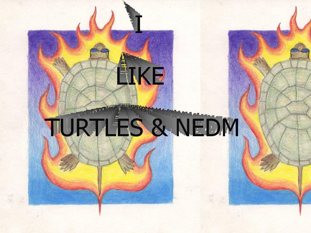 iliketurtlesandnedm