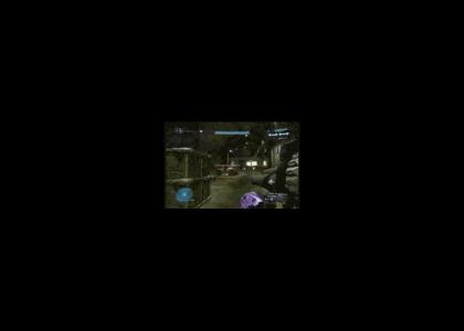 Epic Halo 3 Suicide Maneuver