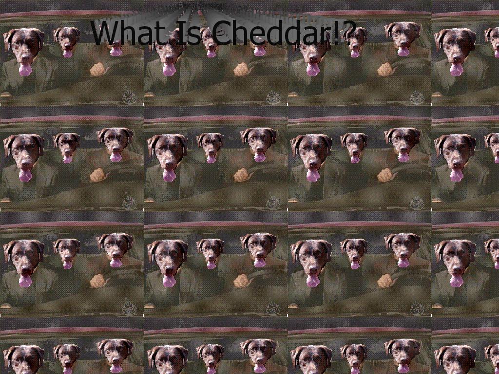 whatischeddar