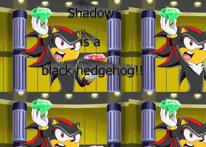 N*gg* stole my chaos emerald!!