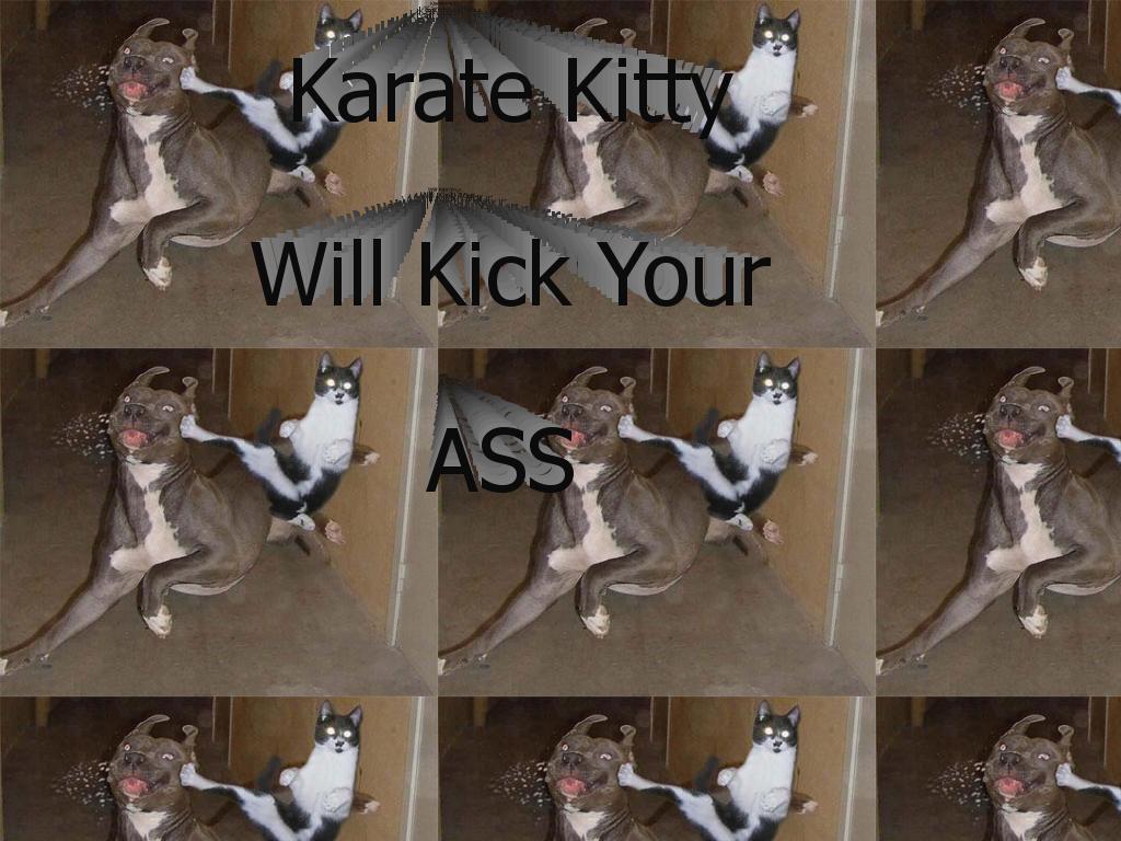 karatekittykicksass
