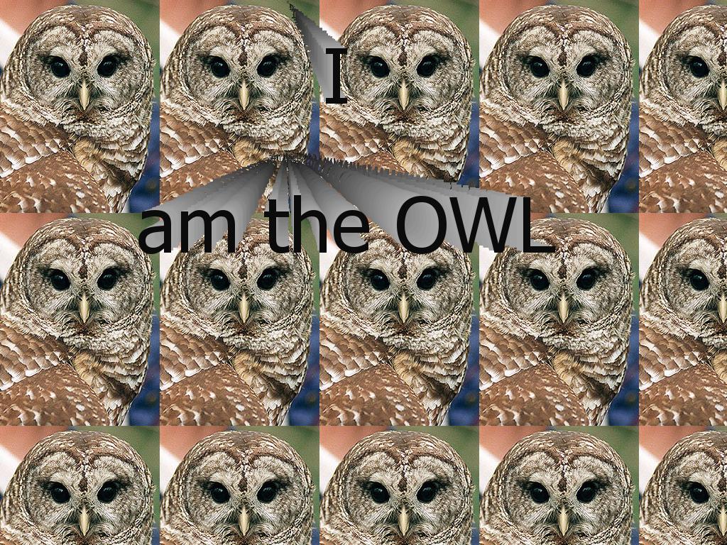 iamtheowl