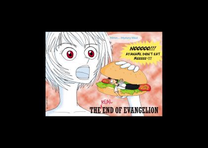 The REAL End of Evangelion