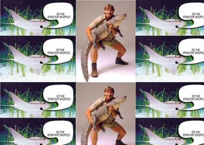 What Would Steve Irwin Do?