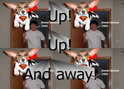 Superdog! S/