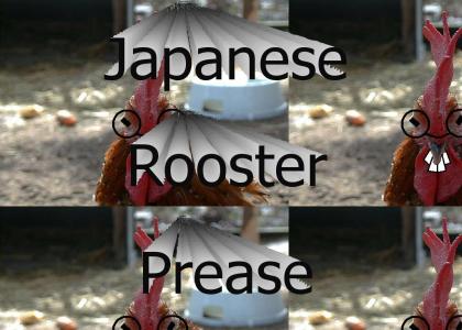 Japanese Rooster