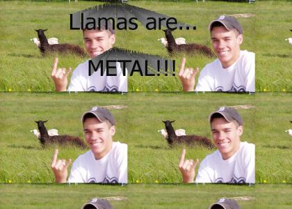 Llamas are... METAL!