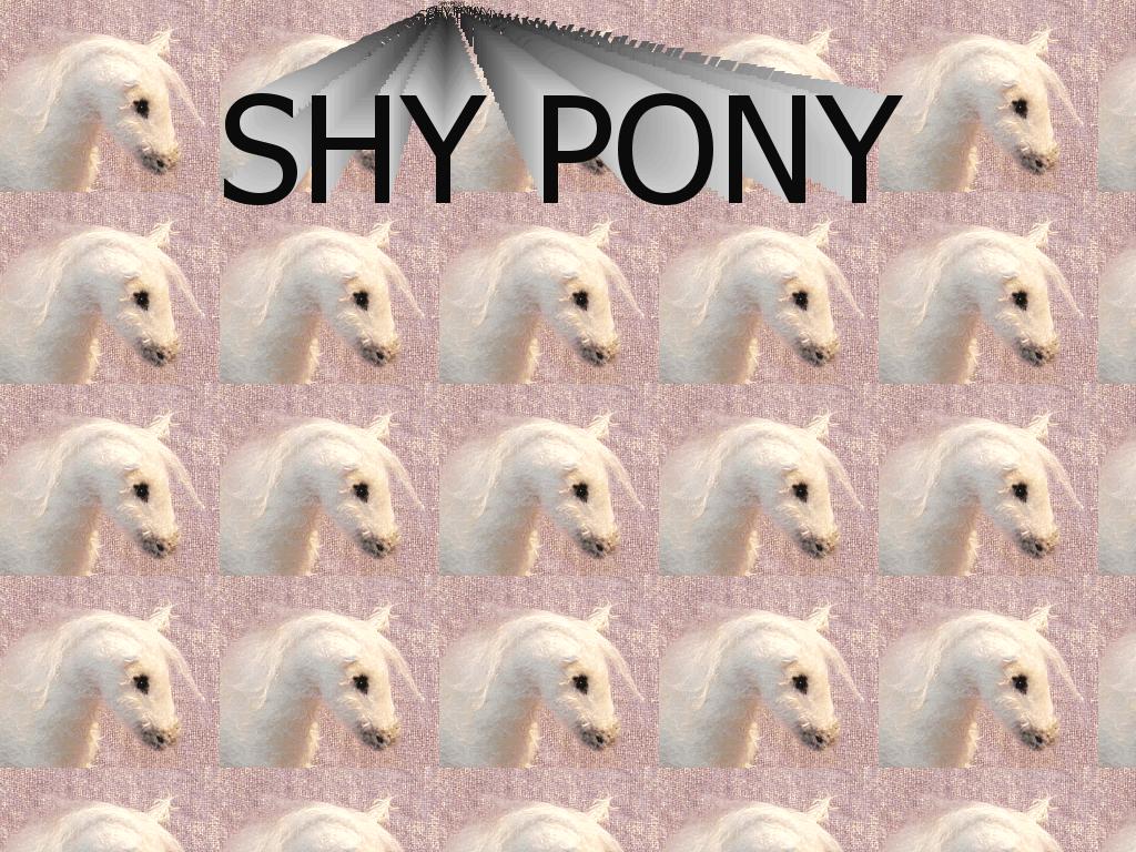 shypony