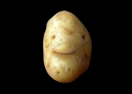 Your Potato Have Just Lived