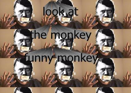 Look at the monkey