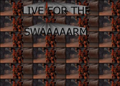 Live for the SWAAAARM