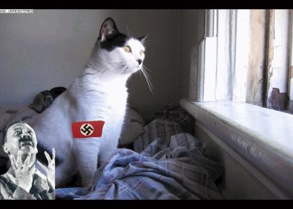 Hitler KITTY!