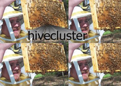 Hivecluster