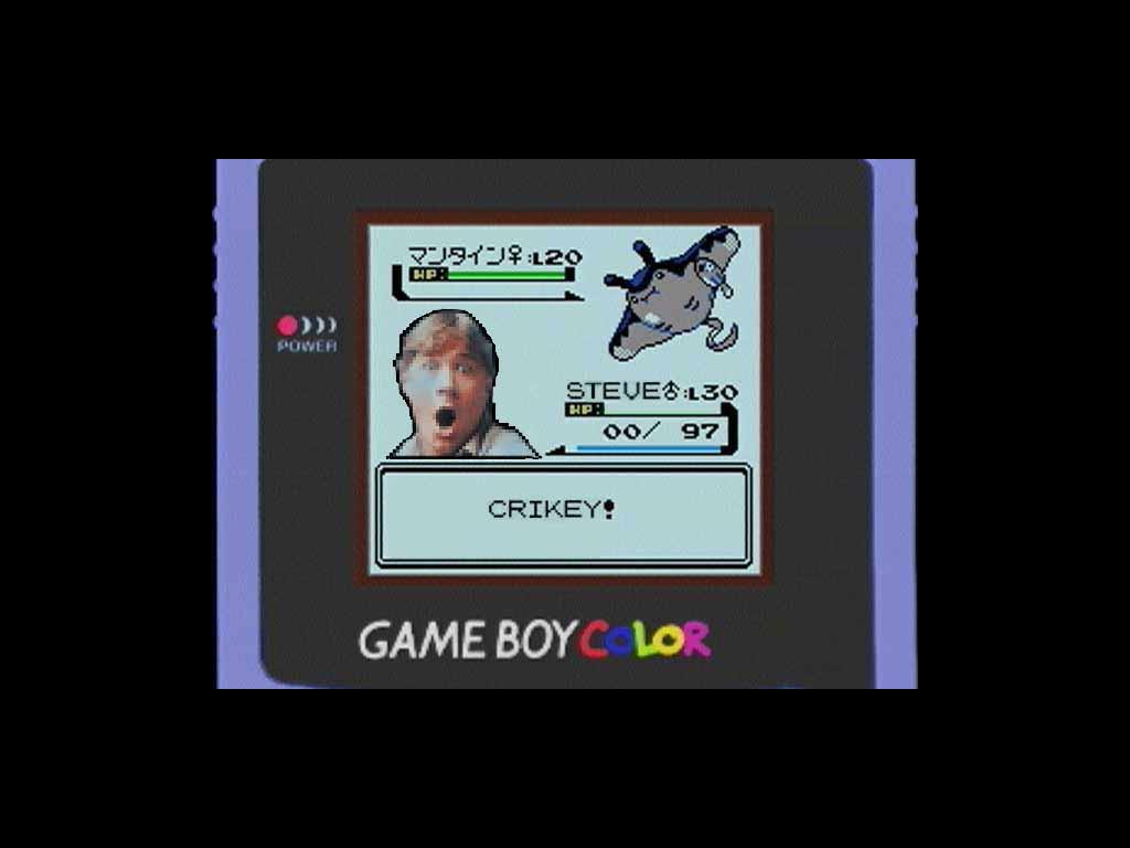 gameboyirwin