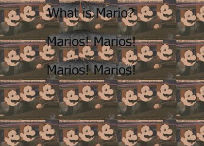 What is Mario?