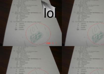 Quiz grade, lol