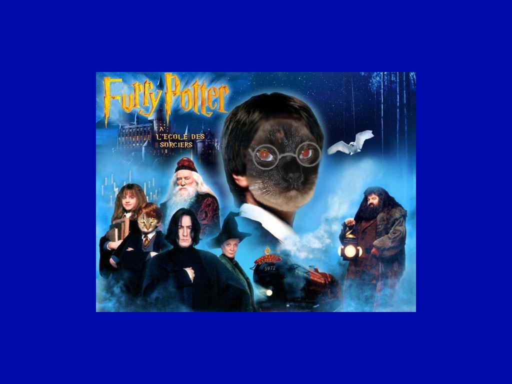 furrypotter