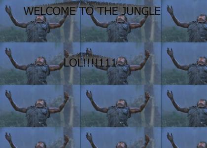 welcome to the jungle