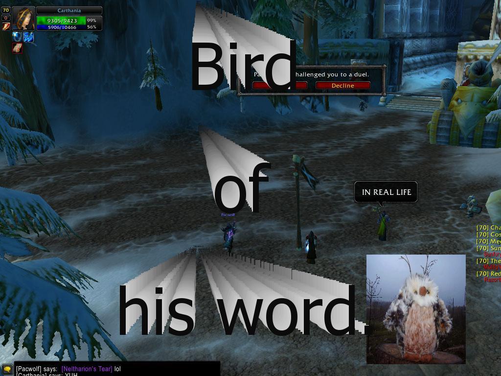 birdofhisword