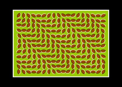 Trippiest thing ever