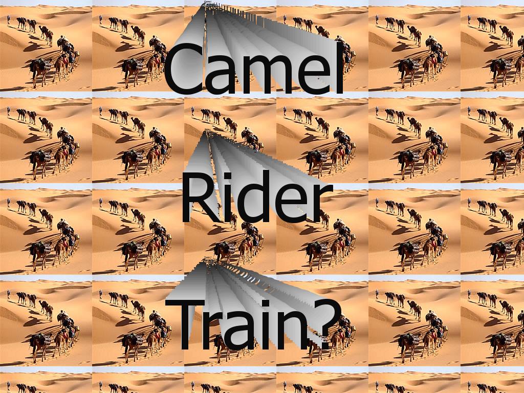 camelridertrain