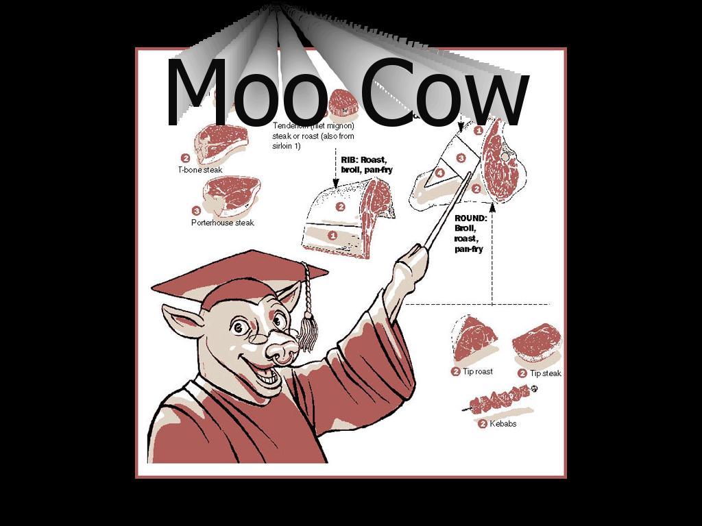 knowyourbeef