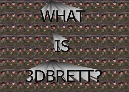 WHAT IS 3DBRETT?