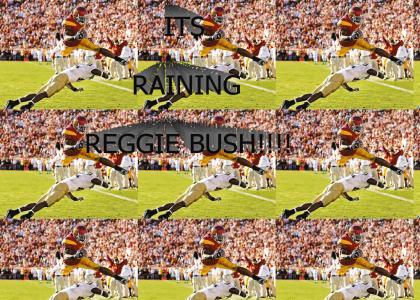 It's Raining Men - Reggie Bush