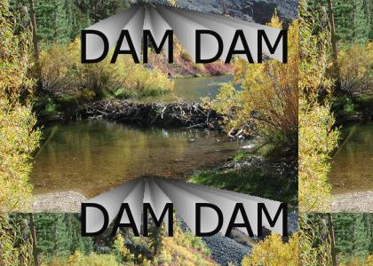 Dam dam dam dam