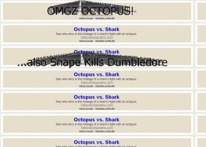 Octopus vs. Shark