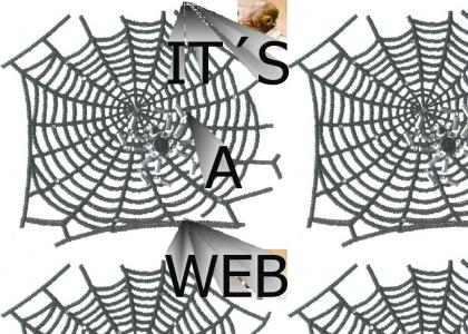 IT'S A WEB