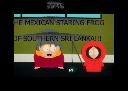 Mexican Staring Frog of Southern Sri Lanka!!!