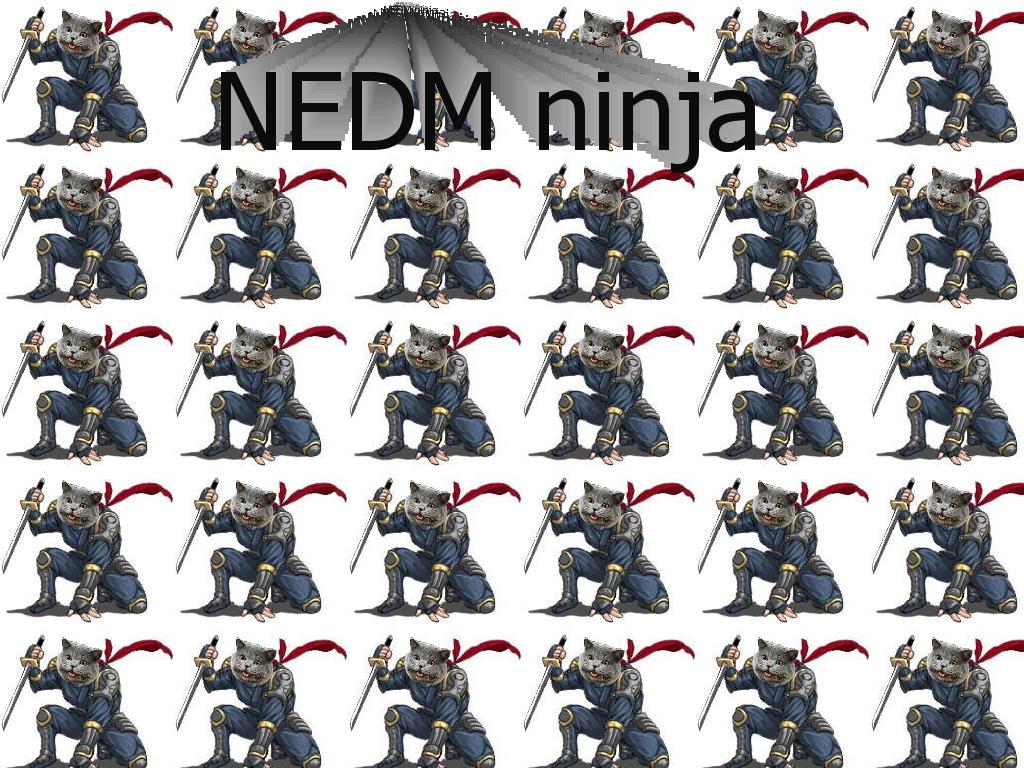 nedmtheninja