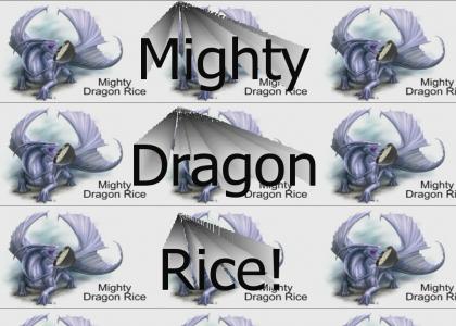 Mighty Dragon Rice!