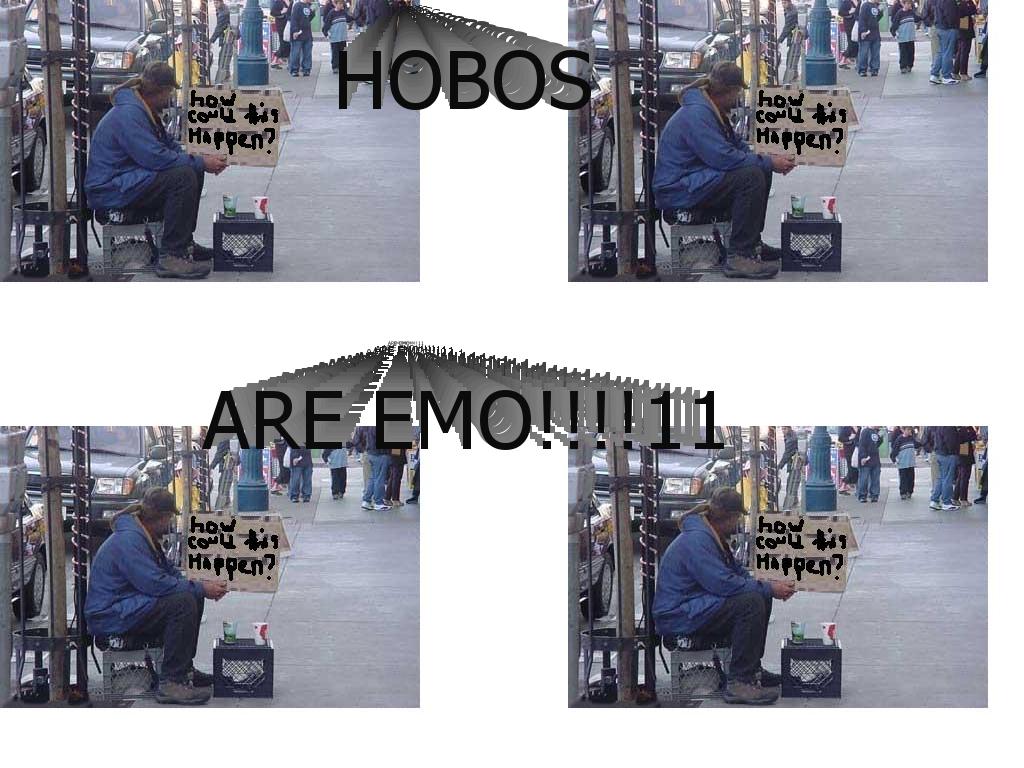 HOBOEMO