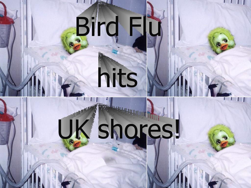 birdfluuk