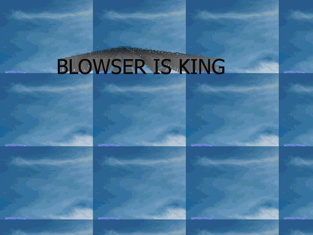 blowsercoaster