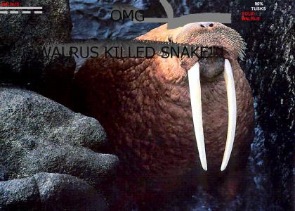 A Walrus Replaces Solid Snake!!!