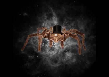 Sophisticated Spider... in Space!