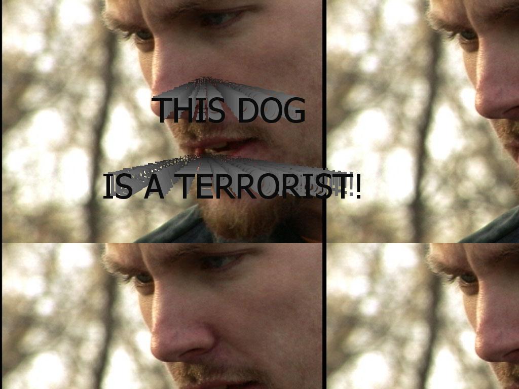 dogisaterrorist