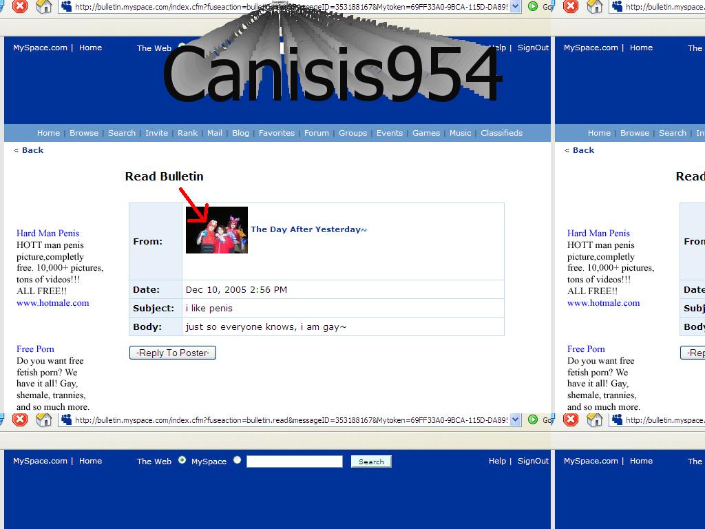 Canisis954