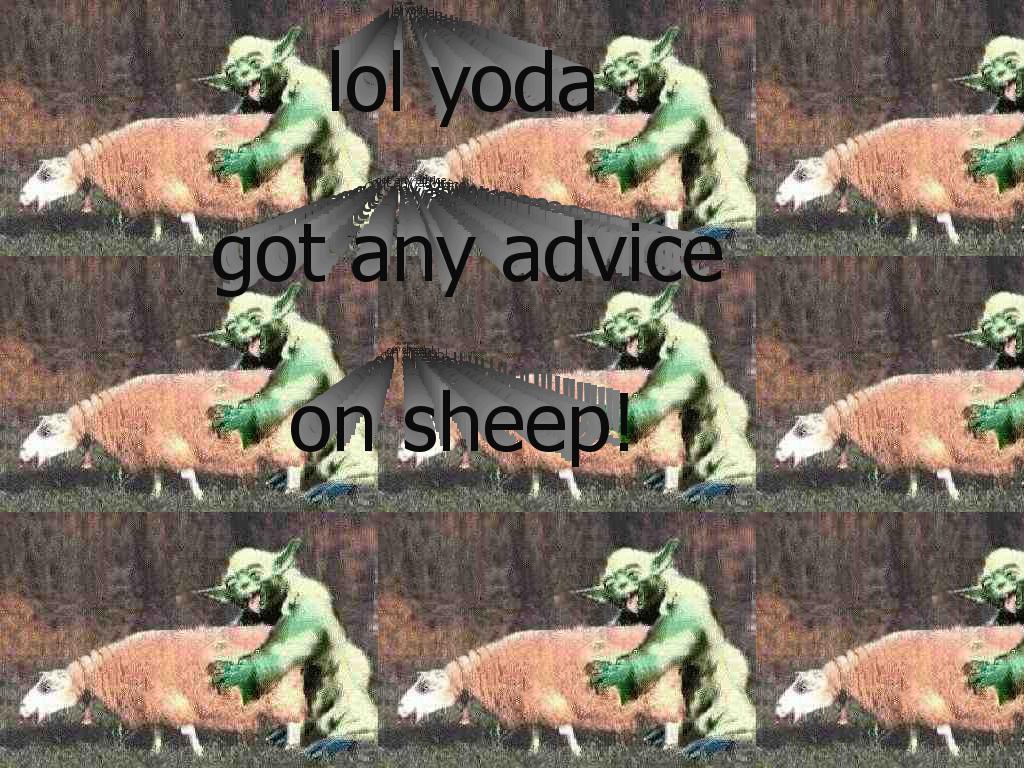 yodawithtehsheep