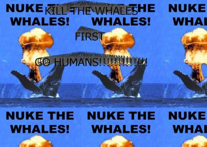 Kill the Whales